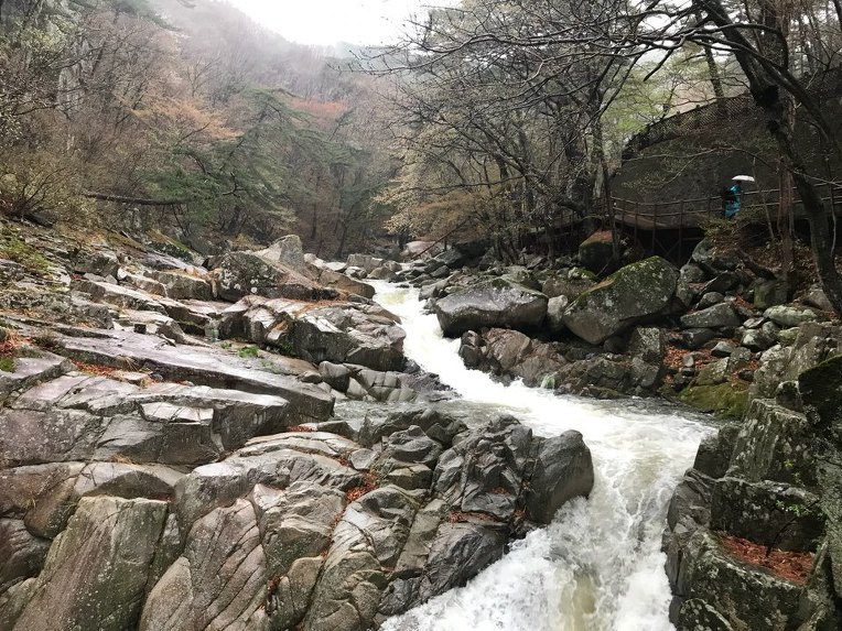 손님이 돌아간 만찬처럼 인생은 허무하다...