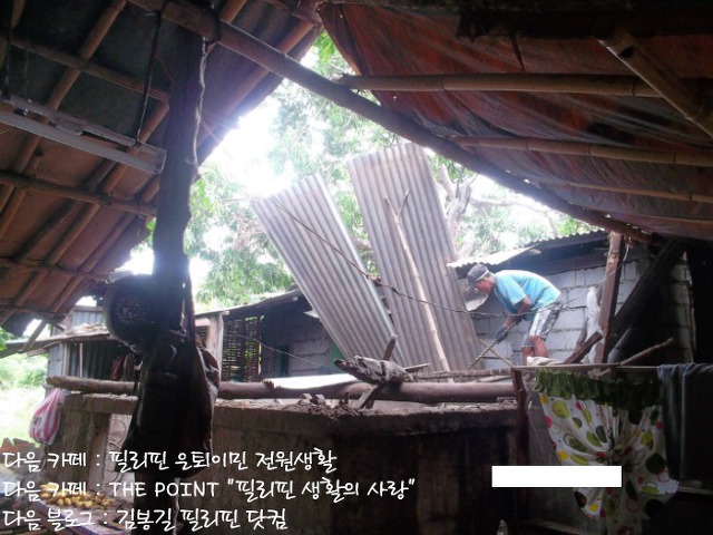 필리핀 농촌생활 하기까지(5).- 걱정없이 편안한 삶을 살아가고 있고 내 능력이 닿은한 생각했던 계획을 하나 하나 추진해 나가고 있다.