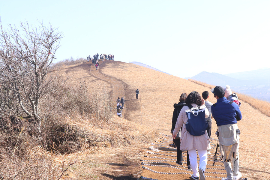한국마스터가드너 제주 김학우정원과 새별오름 투어...2019년 2월 23일