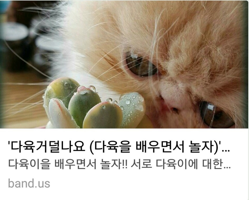 궁모닝유통 이미지