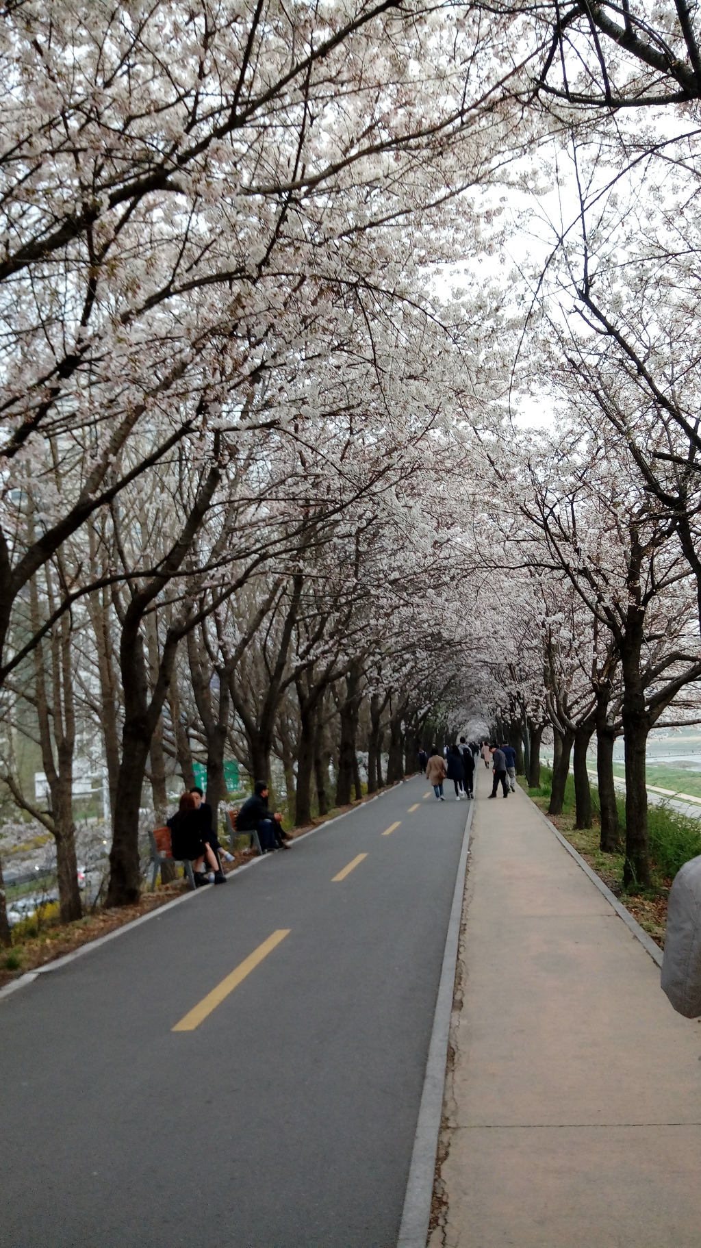 사월을 보내며