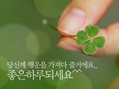행운의 꽃 보시고 2018년 대박 나세요!!