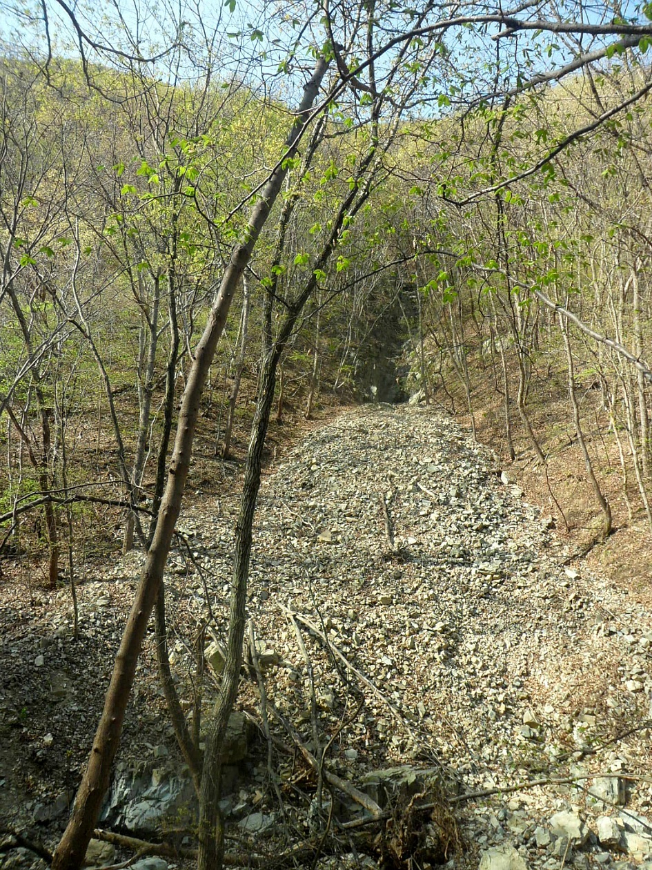 문수산 2019-04-06
