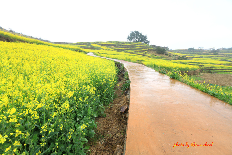 느림의 쉼표..청산도..2019.04.07 