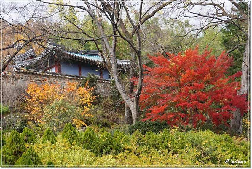 지리산 대원사계곡(유평계곡) ~ 대원사의 늦가을 풍경