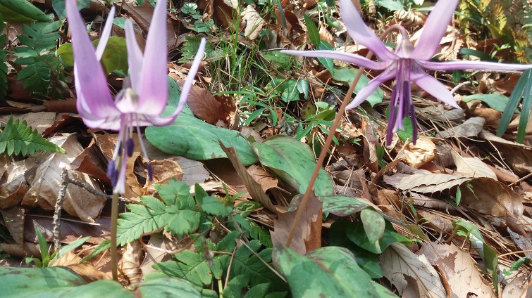통영 엘러지 만나러 가다