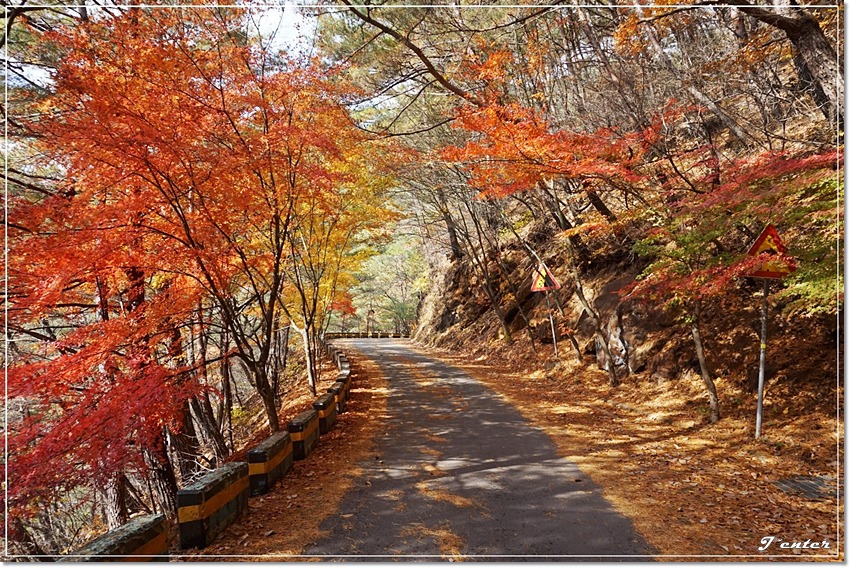 지리산 대원사계곡(유평계곡) ~ 대원사의 늦가을 풍경