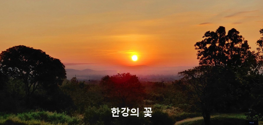 팍총의 여명과 알출