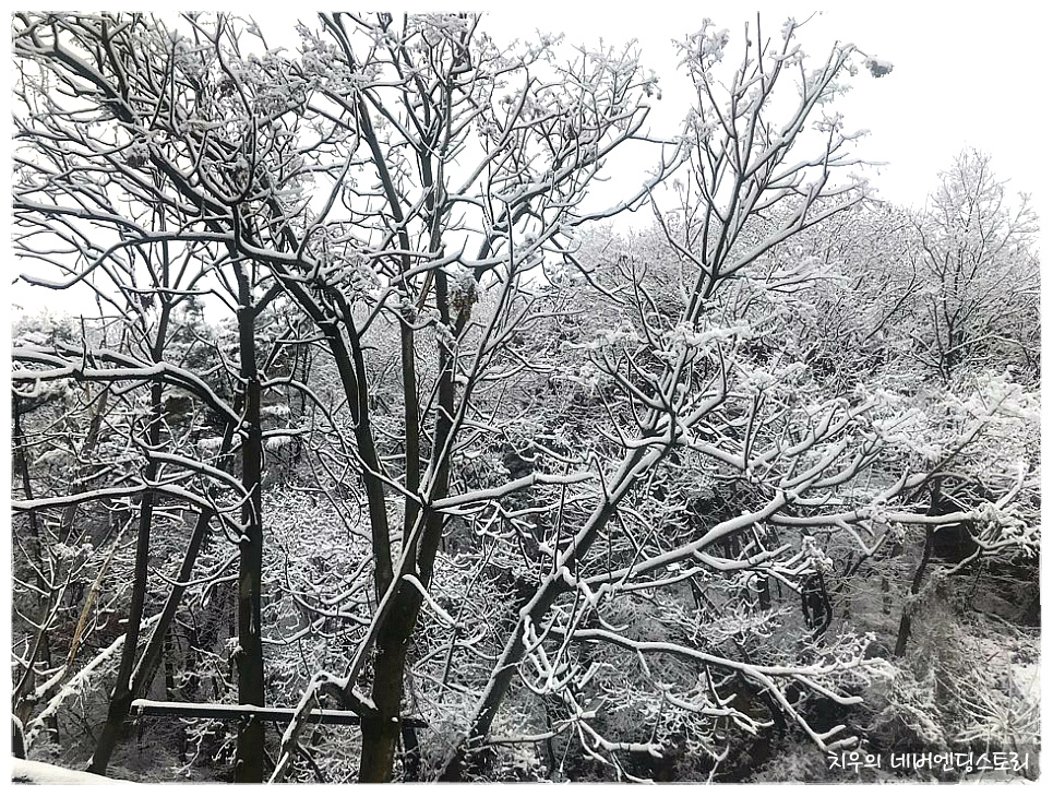눈 내린 부산 금정산성로(金井山城路)의 소경(小景)/ 목필균의 함박눈