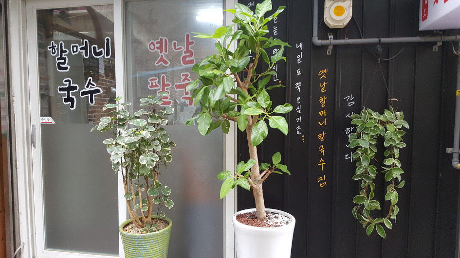 팥죽이랑국수 이미지