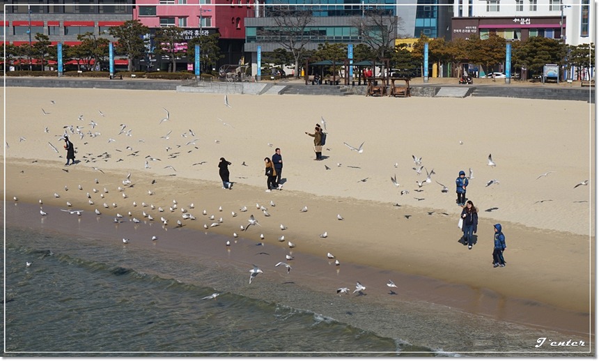 부산 송도해안산책로~송도해수욕장 구름산책로