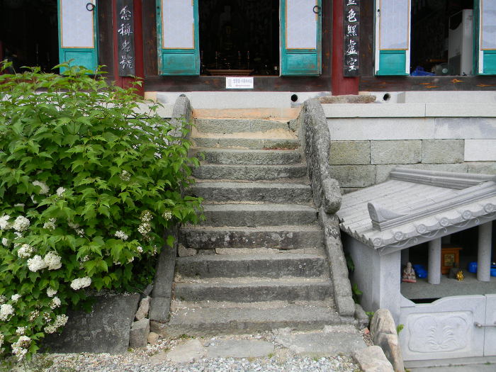 함평 모악산 용천사 (대웅전, 꽃무릇)