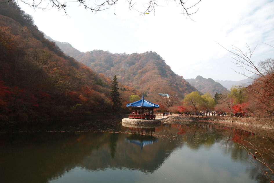내차로,열흘간 시간여행,11일째(여수,내장산단풍)