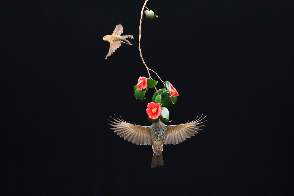 기선제압 (2019.03.06.수)
