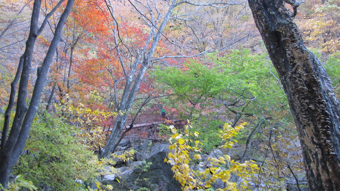지리산 피아골 단풍 산행기