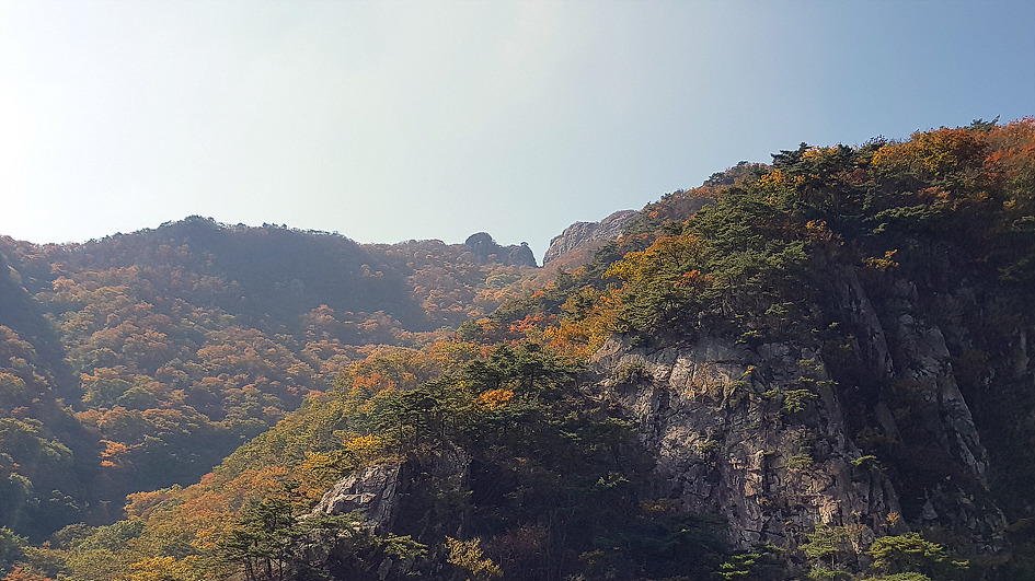 계룡산의 가을 정취에 빠져들다.