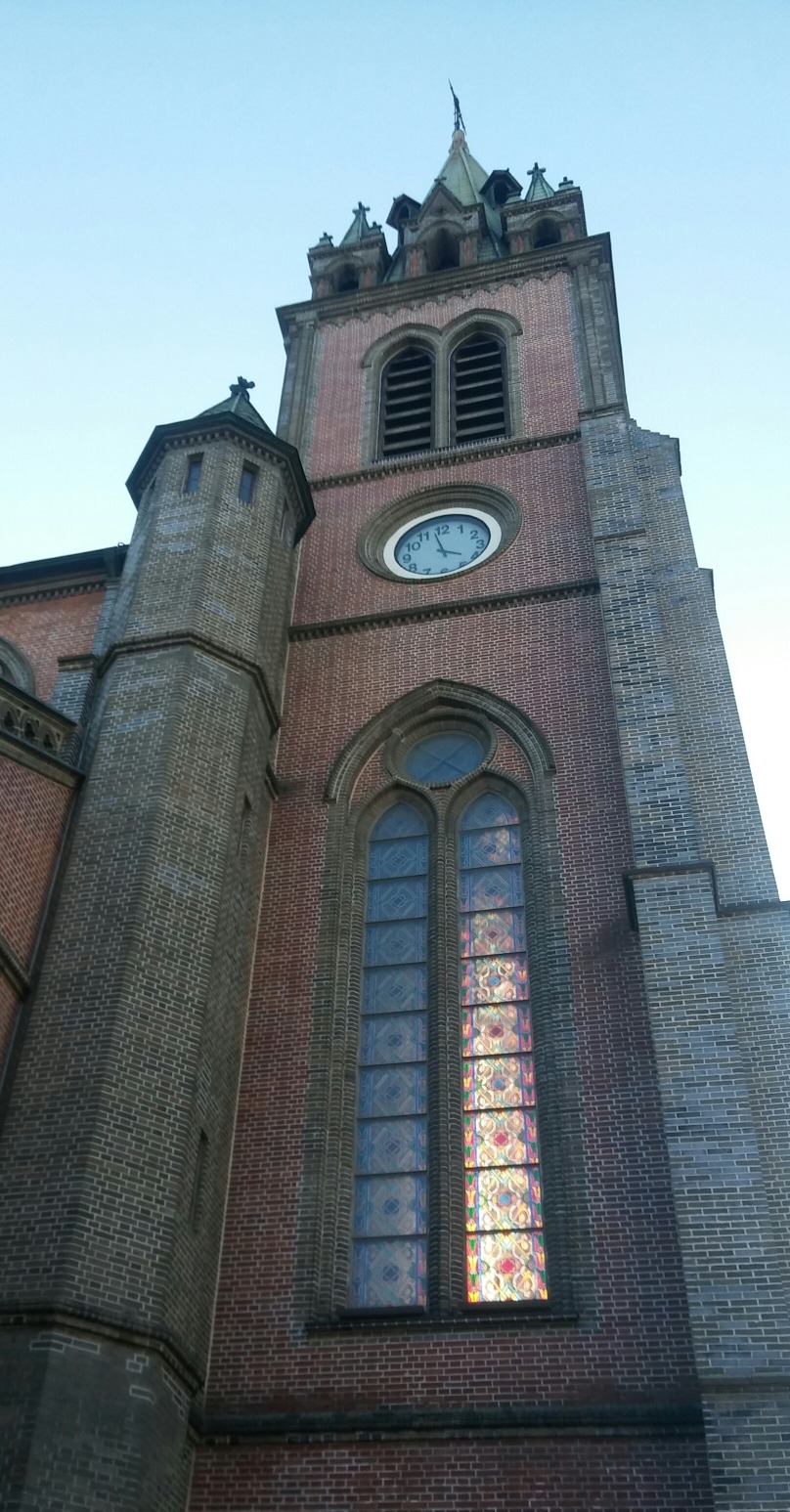 명동성당에 봄나비가 떴어요...