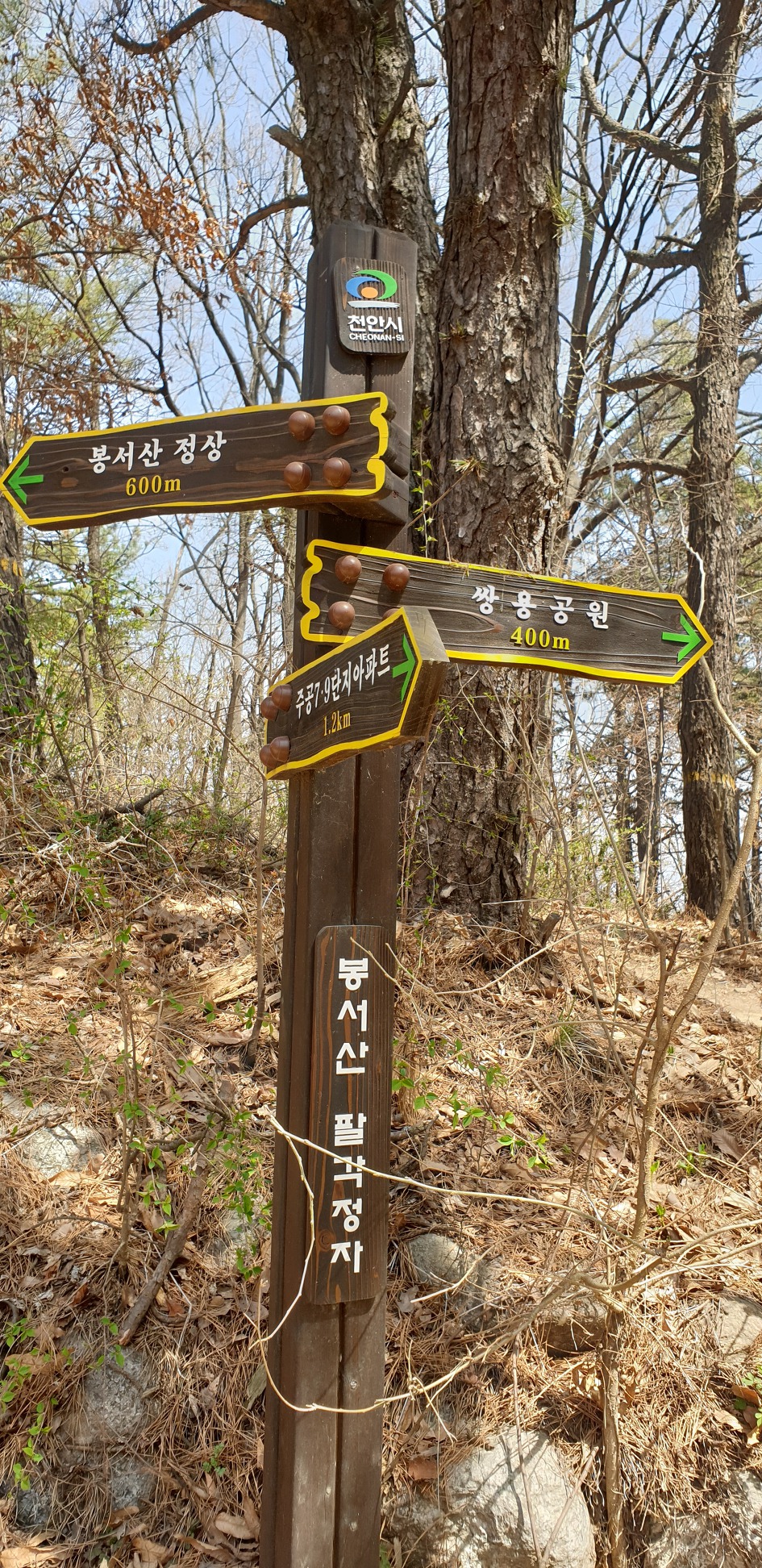 천안 봉서산 구름다리
