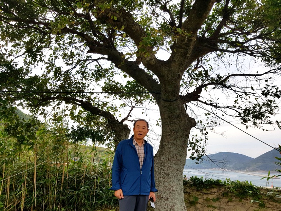 10년만에 찾아간 내고향 "거문도"(巨文島)는 변함없었다.
