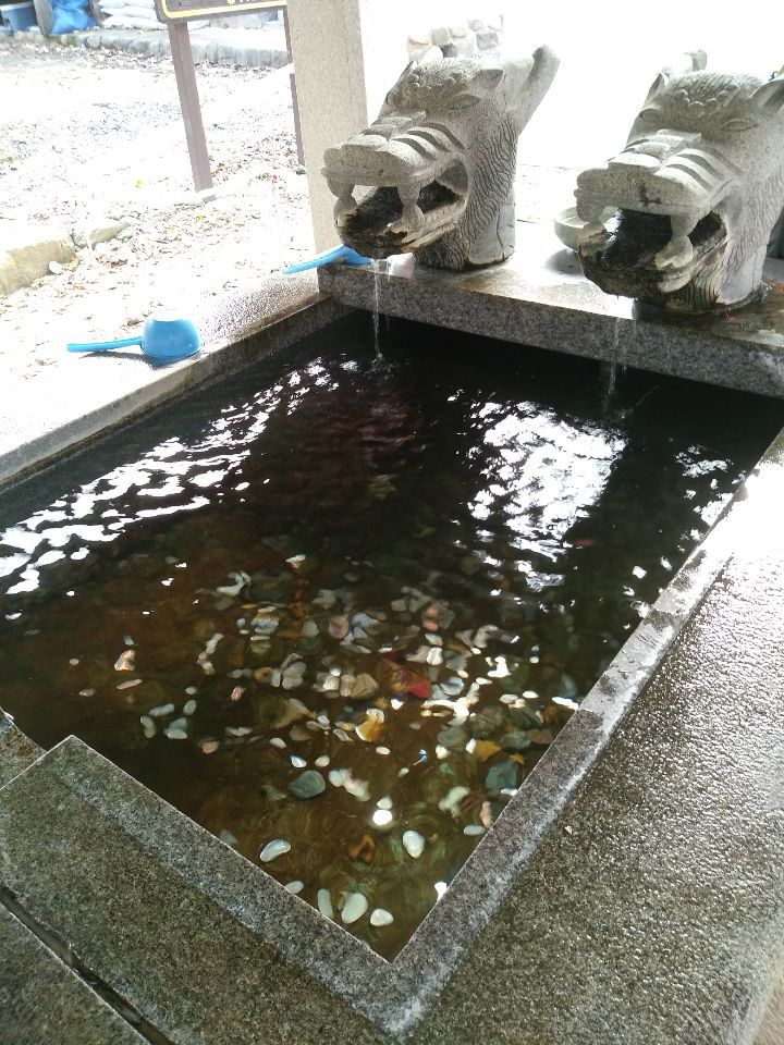 사랑의 명령 