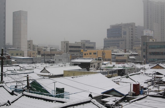 눈이 내리던 오후...(In the afternoon of snow)