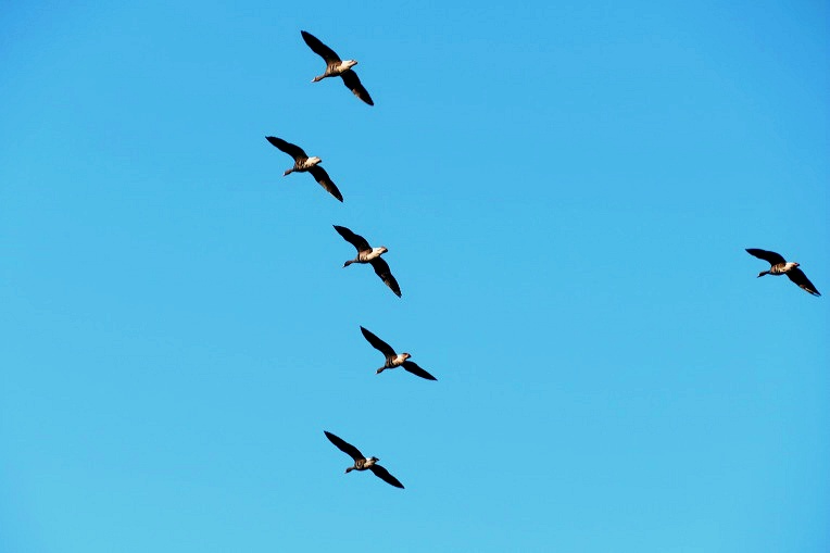 99ECD13B5DF4F05323D152