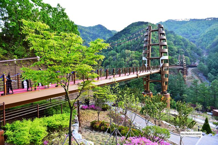 좌구산자연휴양림 이미지