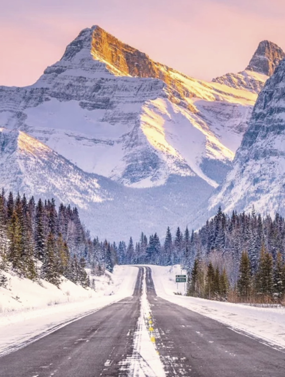 누구도 산정에 오래 머물 수는 없다