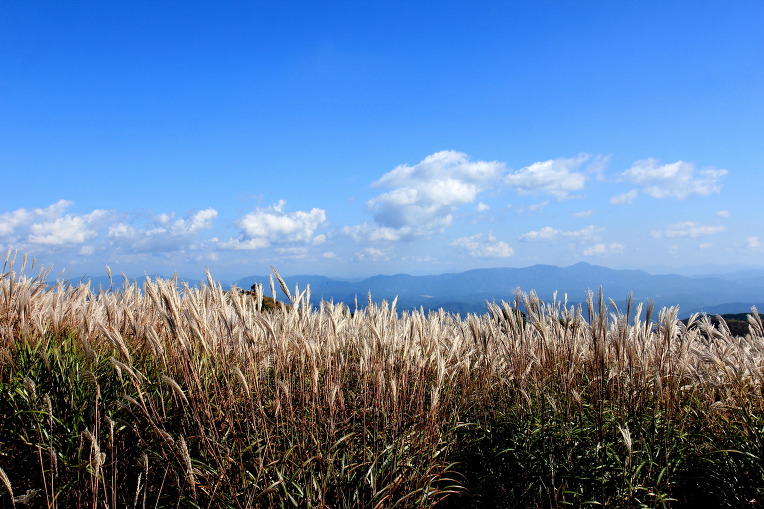 * 합천 황매산 억새 축제 산행기